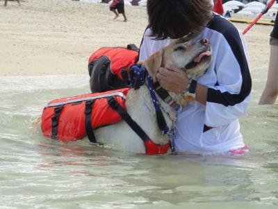 DSC05783_convert_20120905131555.jpg
