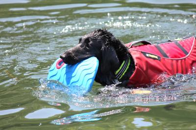 IMG_4482_convert_20120519233135.jpg