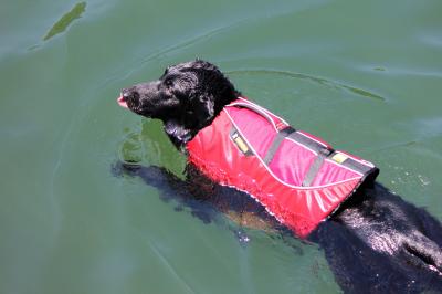 IMG_4517_convert_20120520001346.jpg