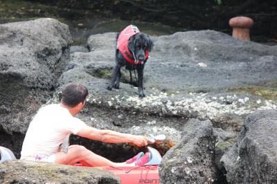 IMG_4561_convert_20120520233105.jpg