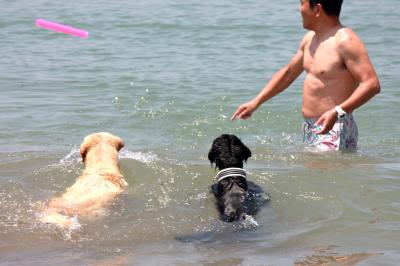 IMG_4590_convert_20120527190103.jpg