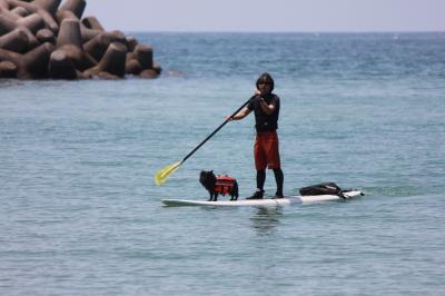 IMG_4616_convert_20120527185448.jpg