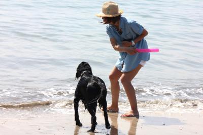 IMG_4639_convert_20120527215006.jpg