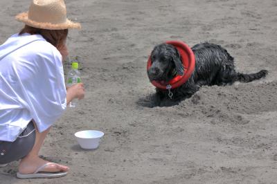 IMG_4777_convert_20120604214621.jpg