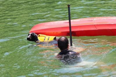 IMG_4821_convert_20120611220731.jpg