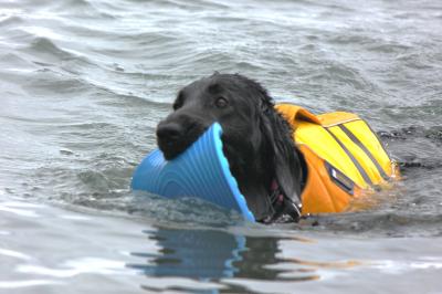 IMG_4914_convert_20120616173431.jpg
