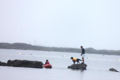 IMG_4933_convert_20120616220642.jpg
