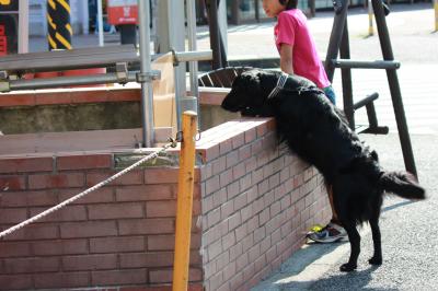 IMG_5105_convert_20120630093055.jpg