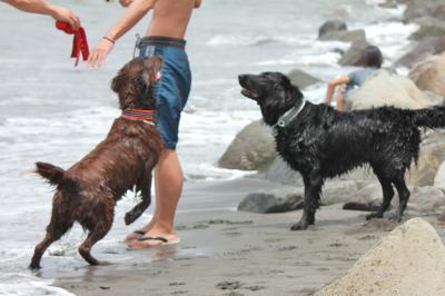 IMG_5321_convert_20120716075118.jpg