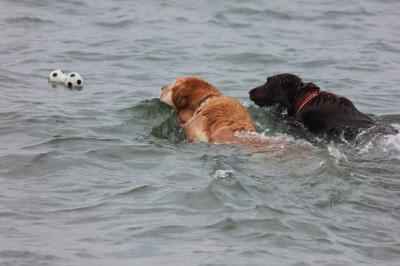 IMG_5324_convert_20120716074740.jpg