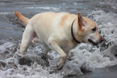 IMG_5329_convert_20120716075736.jpg