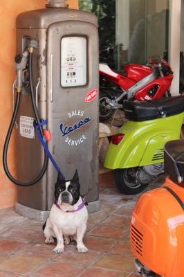 IMG_5710_convert_20120810231639.jpg