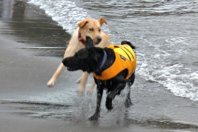 IMG_5773_convert_20120812173905.jpg