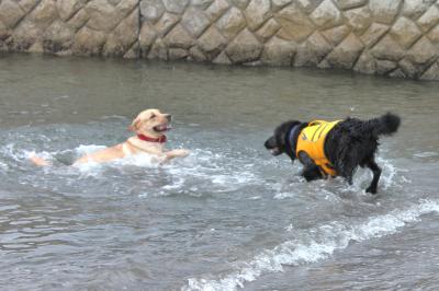 IMG_5776_convert_20120812174039.jpg