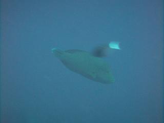 120505blogn.jpg