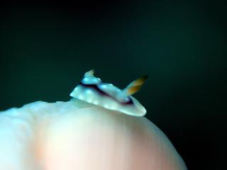 120505blogo.jpg