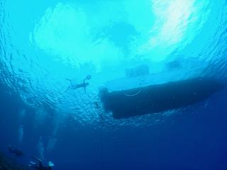 120519blogn.jpg