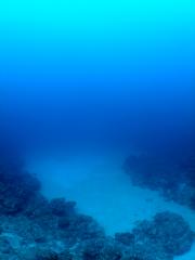 120531blogb.jpg
