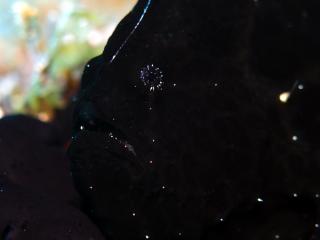 120702blogn.jpg