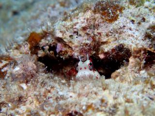 120705blogm.jpg