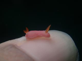 120711blogc.jpg