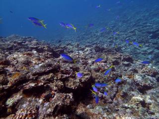 120717bloge.jpg