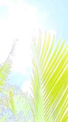 120808blogn.jpg