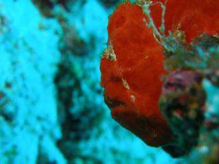 120903blogf.jpg