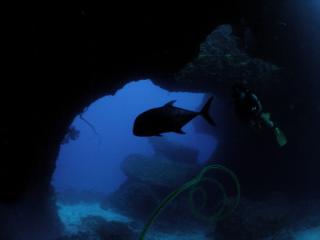 120907bloge.jpg