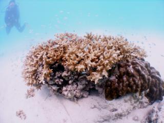 120915blogb.jpg