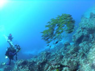120922blogf.jpg