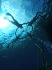 120924blogl.jpg