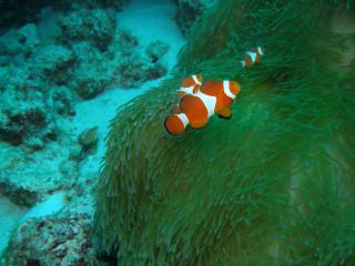 120926blogb.jpg