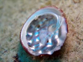 121021blogn.jpg