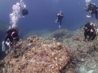 121106blogb.jpg