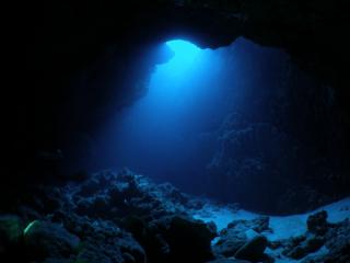 121109blogf.jpg