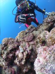 121112blogb.jpg