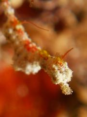 121203blogz.jpg