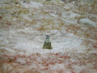 121231bloge.jpg