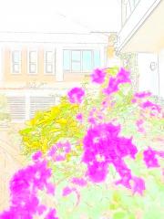 130108blogb.jpg
