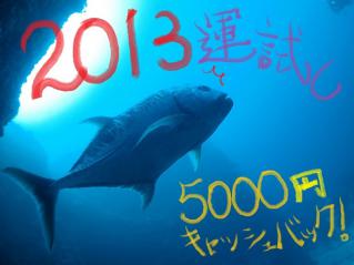 130110bloge.jpg