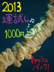 130110blogg.jpg