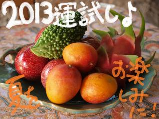 130110blogr.jpg