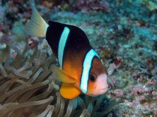 130113blogl.jpg
