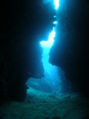 140202blogc.jpg
