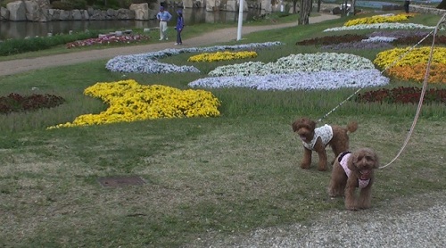 014_20120601174047.jpg