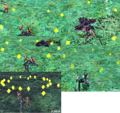 メセタサークル