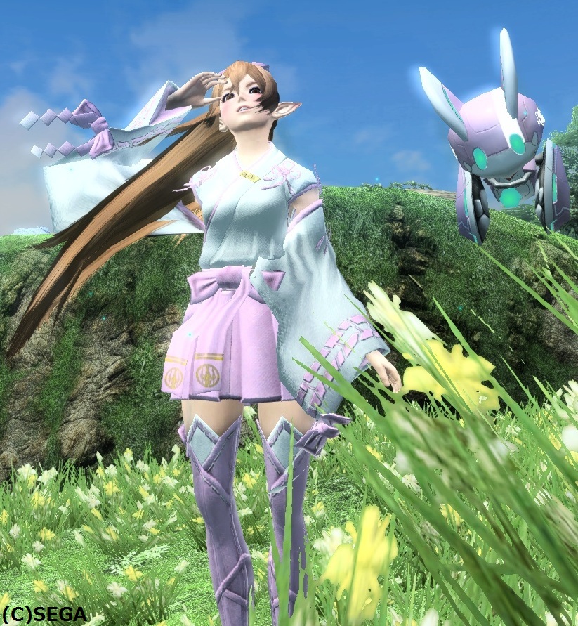 カナギマイヒメ花舞2