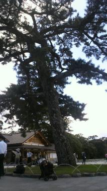 moblog_2610e7bf.jpg