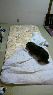 moblog_d0f36a53.jpg